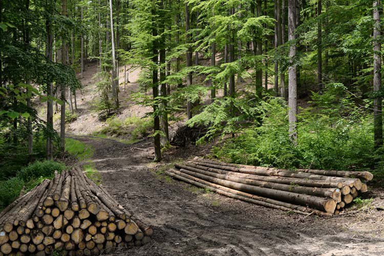 Leistungen Holzheizung Leistungen Holzheizung